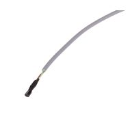 External probe SDS1