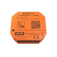 Bistable relay FW-R1P